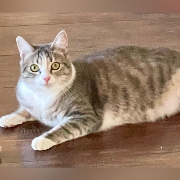 Like this listing 🩷 Let’s connect & be friends! READ BELOW 🥰🪽 - Picture 6 of 9